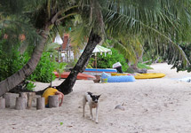 White Sand Beach Resort