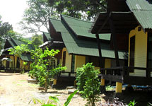 Deluxe Garden View Bungalow