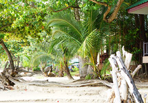 Kai Bae Beach Grand Ville Hotel