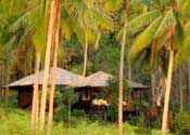 The Villa