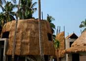 The Dewa Villa