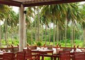 The Dewa Koh Chang